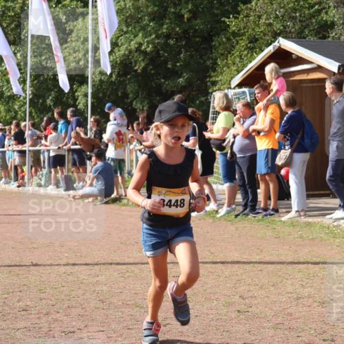 08.09.2024 - Airport Race Strokosch-Dieckow http://msf.ph/oto/7012543 08.09.2024 11:30:18 Ziel 1677, 1682, 1684, 1695, 1754, 1805, 1816, 1936, 3424, 3445, 3447, 3448, 3449 meine-sportfotos.de