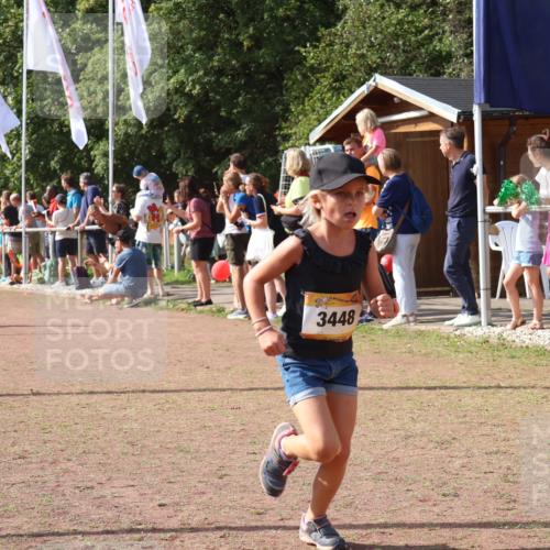 08.09.2024 - Airport Race Strokosch-Dieckow http://msf.ph/oto/7012573 08.09.2024 11:30:18 Ziel 1677, 1682, 1684, 1695, 1754, 1805, 1816, 1936, 3424, 3445, 3447, 3448, 3449 meine-sportfotos.de