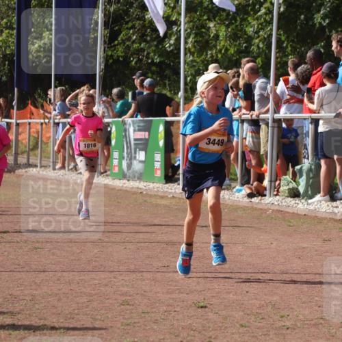 08.09.2024 - Airport Race Strokosch-Dieckow http://msf.ph/oto/7012612 08.09.2024 11:30:19 Ziel 1677, 1682, 1684, 1695, 1754, 1805, 1816, 1936, 3424, 3445, 3447, 3448, 3449 meine-sportfotos.de