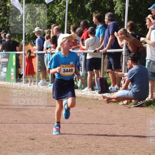 08.09.2024 - Airport Race Strokosch-Dieckow http://msf.ph/oto/7012634 08.09.2024 11:30:20 Ziel 1661, 1677, 1682, 1684, 1695, 1754, 1758, 1805, 1816, 1936, 3424, 3445, 3448, 3449 meine-sportfotos.de