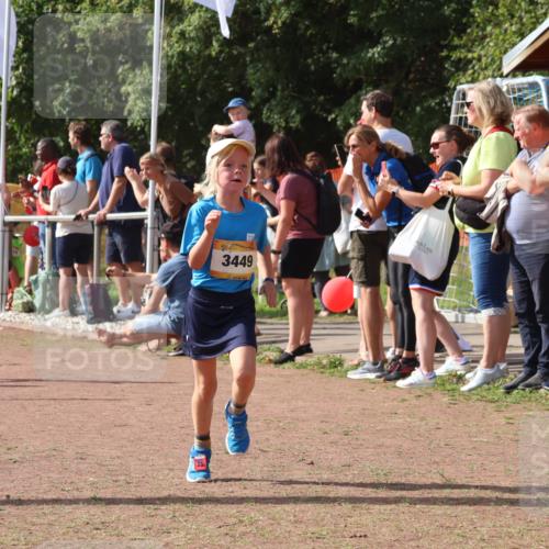 08.09.2024 - Airport Race Strokosch-Dieckow http://msf.ph/oto/7012666 08.09.2024 11:30:21 Ziel 1661, 1677, 1682, 1684, 1695, 1754, 1758, 1795, 1805, 1816, 1936, 3424, 3445, 3448, 3449 meine-sportfotos.de