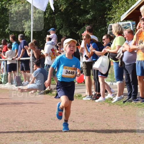 08.09.2024 - Airport Race Strokosch-Dieckow http://msf.ph/oto/7012685 08.09.2024 11:30:21 Ziel 1661, 1677, 1682, 1684, 1695, 1754, 1758, 1795, 1805, 1816, 1936, 3424, 3445, 3448, 3449 meine-sportfotos.de
