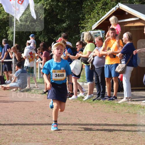 08.09.2024 - Airport Race Strokosch-Dieckow http://msf.ph/oto/7012706 08.09.2024 11:30:21 Ziel 1661, 1677, 1682, 1684, 1695, 1754, 1758, 1795, 1805, 1816, 1936, 3424, 3445, 3448, 3449 meine-sportfotos.de
