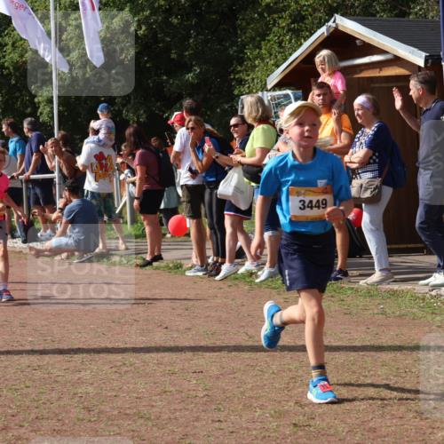 08.09.2024 - Airport Race Strokosch-Dieckow http://msf.ph/oto/7012748 08.09.2024 11:30:22 Ziel 1661, 1677, 1682, 1684, 1689, 1691, 1695, 1754, 1758, 1795, 1805, 1816, 1936, 3424, 3445, 3449 meine-sportfotos.de
