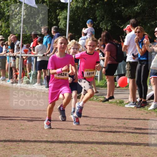 08.09.2024 - Airport Race Strokosch-Dieckow http://msf.ph/oto/7012772 08.09.2024 11:30:23 Ziel 1610, 1661, 1677, 1682, 1684, 1689, 1691, 1695, 1725, 1754, 1756, 1758, 1795, 1805, 1816, 1936, 3424, 3445, 3449 meine-sportfotos.de