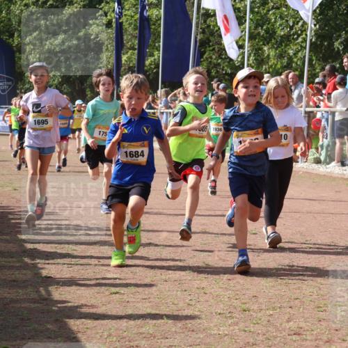 08.09.2024 - Airport Race Strokosch-Dieckow http://msf.ph/oto/7012835 08.09.2024 11:30:24 Ziel 1610, 1661, 1677, 1682, 1684, 1689, 1691, 1695, 1725, 1754, 1756, 1758, 1774, 1794, 1795, 1805, 1816, 1901, 1936, 3424, 3445, 3449 meine-sportfotos.de