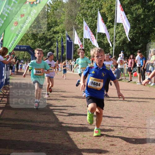 08.09.2024 - Airport Race Strokosch-Dieckow http://msf.ph/oto/7012927 08.09.2024 11:30:25 Ziel 1610, 1661, 1677, 1682, 1684, 1689, 1691, 1695, 1725, 1754, 1756, 1758, 1774, 1794, 1795, 1805, 1816, 1901, 1936, 3424, 3433, 3445, 3449 meine-sportfotos.de