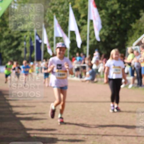 08.09.2024 - Airport Race Strokosch-Dieckow http://msf.ph/oto/7013040 08.09.2024 11:30:27 Ziel 1610, 1661, 1677, 1679, 1682, 1684, 1689, 1691, 1695, 1725, 1737, 1754, 1756, 1758, 1774, 1794, 1795, 1805, 1816, 1901, 1936, 3424, 3433, 3445, 3449 meine-sportfotos.de