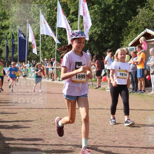 08.09.2024 - Airport Race Strokosch-Dieckow http://msf.ph/oto/7013069 08.09.2024 11:30:28 Ziel 1610, 1661, 1677, 1679, 1684, 1689, 1691, 1695, 1725, 1737, 1754, 1756, 1758, 1774, 1794, 1795, 1816, 1901, 1936, 3433, 3445 meine-sportfotos.de