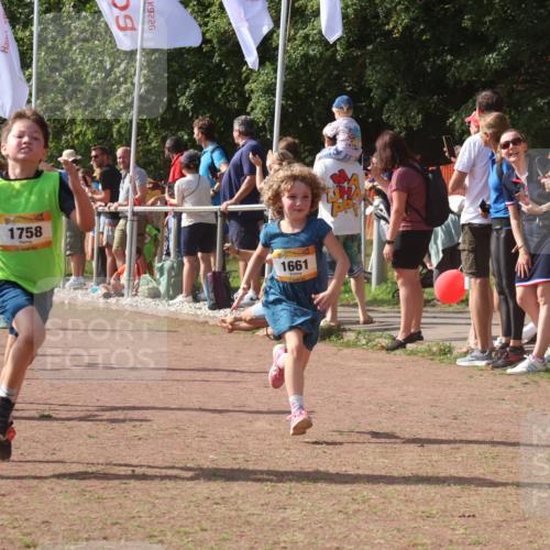 08.09.2024 - Airport Race Strokosch-Dieckow http://msf.ph/oto/7013097 08.09.2024 11:30:29 Ziel 1610, 1661, 1679, 1689, 1691, 1695, 1725, 1737, 1754, 1756, 1758, 1774, 1794, 1795, 1901, 1936, 3433 meine-sportfotos.de