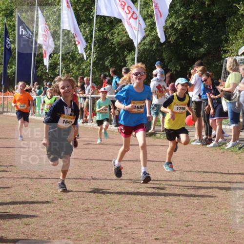 08.09.2024 - Airport Race Strokosch-Dieckow http://msf.ph/oto/7013183 08.09.2024 11:30:31 Ziel 1610, 1661, 1663, 1679, 1689, 1691, 1725, 1737, 1756, 1758, 1774, 1794, 1795, 1901, 3433 meine-sportfotos.de
