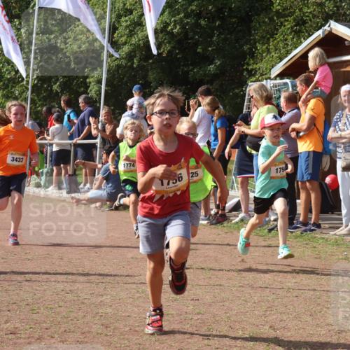 08.09.2024 - Airport Race Strokosch-Dieckow http://msf.ph/oto/7013279 08.09.2024 11:30:32 Ziel 1610, 1661, 1663, 1679, 1689, 1691, 1725, 1737, 1756, 1758, 1774, 1794, 1795, 1901, 3433 meine-sportfotos.de