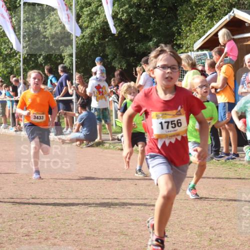 08.09.2024 - Airport Race Strokosch-Dieckow http://msf.ph/oto/7013294 08.09.2024 11:30:33 Ziel 1610, 1663, 1679, 1689, 1691, 1725, 1737, 1756, 1774, 1788, 1794, 1795, 1901, 3433 meine-sportfotos.de