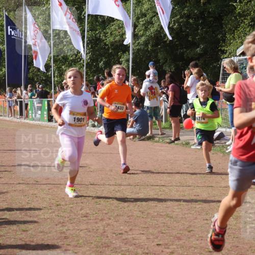 08.09.2024 - Airport Race Strokosch-Dieckow http://msf.ph/oto/7013319 08.09.2024 11:30:33 Ziel 1610, 1663, 1679, 1689, 1691, 1725, 1737, 1756, 1774, 1788, 1794, 1795, 1901, 3433 meine-sportfotos.de