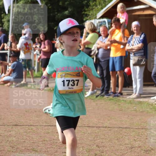 08.09.2024 - Airport Race Strokosch-Dieckow http://msf.ph/oto/7013460 08.09.2024 11:30:36 Ziel 1631, 1663, 1679, 1705, 1737, 1774, 1788, 1794, 1801, 1901, 3433, 3438 meine-sportfotos.de