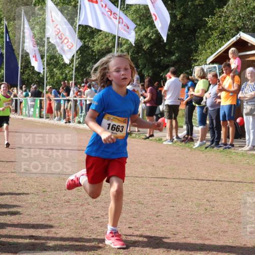 08.09.2024 - Airport Race Strokosch-Dieckow http://msf.ph/oto/7013533 08.09.2024 11:30:39 Ziel 1631, 1663, 1705, 1715, 1729, 1788, 1801, 3438 meine-sportfotos.de