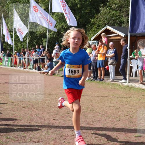 08.09.2024 - Airport Race Strokosch-Dieckow http://msf.ph/oto/7013551 08.09.2024 11:30:39 Ziel 1631, 1663, 1705, 1715, 1729, 1788, 1801, 3438 meine-sportfotos.de