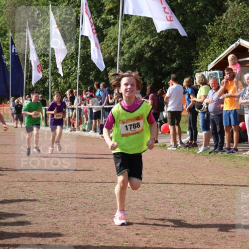 08.09.2024 - Airport Race Strokosch-Dieckow http://msf.ph/oto/7013639 08.09.2024 11:30:42 Ziel 1631, 1663, 1705, 1715, 1718, 1729, 1788, 1801, 3438 meine-sportfotos.de