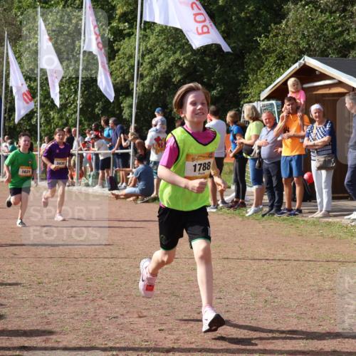 08.09.2024 - Airport Race Strokosch-Dieckow http://msf.ph/oto/7013656 08.09.2024 11:30:42 Ziel 1631, 1663, 1705, 1715, 1718, 1729, 1788, 1801, 3438 meine-sportfotos.de