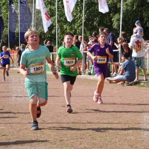 08.09.2024 - Airport Race Strokosch-Dieckow http://msf.ph/oto/7013684 08.09.2024 11:30:43 Ziel 1631, 1705, 1715, 1718, 1729, 1788, 1801, 3438 meine-sportfotos.de