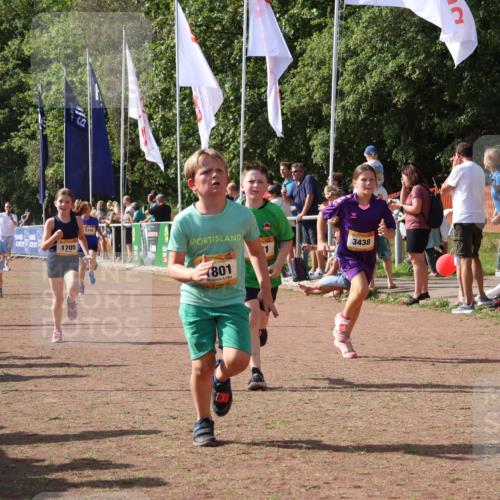 08.09.2024 - Airport Race Strokosch-Dieckow http://msf.ph/oto/7013719 08.09.2024 11:30:44 Ziel 1631, 1705, 1715, 1718, 1729, 1788, 1801, 3438 meine-sportfotos.de