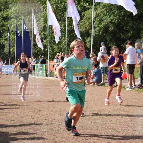 08.09.2024 - Airport Race Strokosch-Dieckow http://msf.ph/oto/7013739 08.09.2024 11:30:44 Ziel 1631, 1705, 1715, 1718, 1729, 1788, 1801, 3438 meine-sportfotos.de