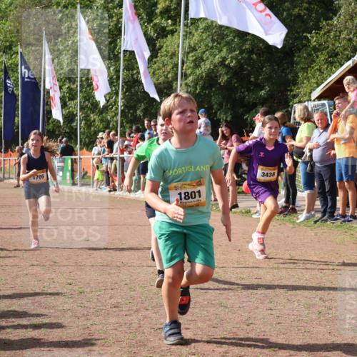 08.09.2024 - Airport Race Strokosch-Dieckow http://msf.ph/oto/7013754 08.09.2024 11:30:44 Ziel 1631, 1705, 1715, 1718, 1729, 1788, 1801, 3438 meine-sportfotos.de