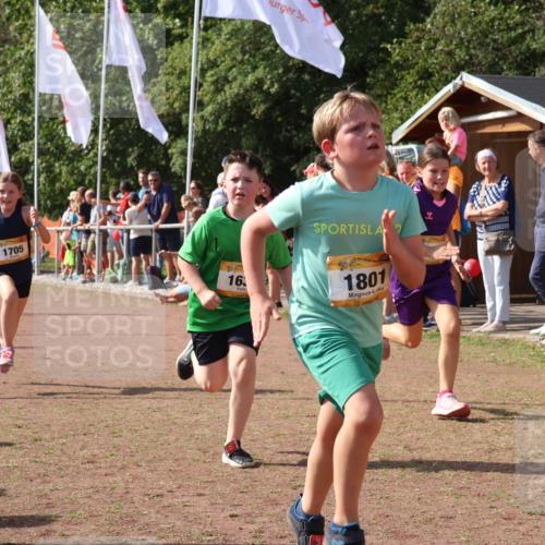 08.09.2024 - Airport Race Strokosch-Dieckow http://msf.ph/oto/7013769 08.09.2024 11:30:45 Ziel 1631, 1705, 1715, 1718, 1729, 1788, 1801, 1908, 3438 meine-sportfotos.de