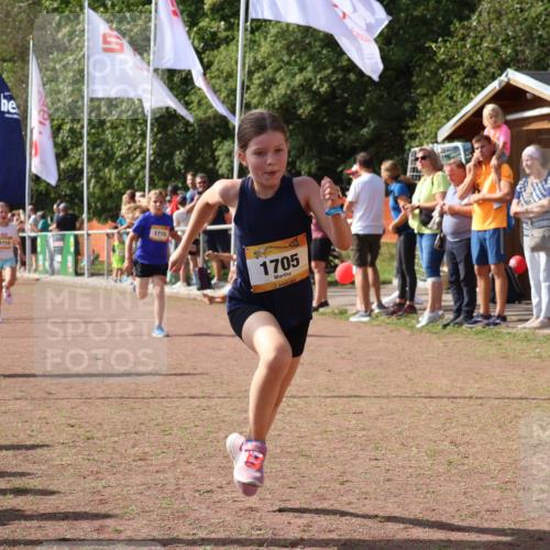 08.09.2024 - Airport Race Strokosch-Dieckow http://msf.ph/oto/7013853 08.09.2024 11:30:46 Ziel 1631, 1705, 1715, 1718, 1729, 1801, 1908, 3438 meine-sportfotos.de