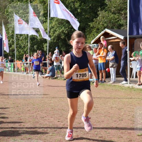 08.09.2024 - Airport Race Strokosch-Dieckow http://msf.ph/oto/7013870 08.09.2024 11:30:46 Ziel 1631, 1705, 1715, 1718, 1729, 1801, 1908, 3438 meine-sportfotos.de