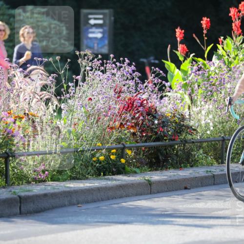08.09.2024 - Stadtparktriathlon Zöllner http://msf.ph/oto/7014778 08.09.2024 09:22:01 Radfahren 46, 67, 99, 107, 164 meine-sportfotos.de