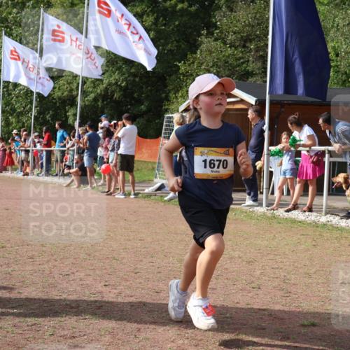 08.09.2024 - Airport Race Strokosch-Dieckow http://msf.ph/oto/7014916 08.09.2024 11:31:23 Ziel 1670, 1676, 1853, 3420 meine-sportfotos.de