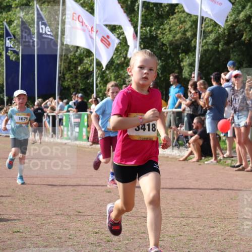 08.09.2024 - Airport Race Strokosch-Dieckow http://msf.ph/oto/7015067 08.09.2024 11:31:38 Ziel 1603, 1675, 1880, 3418, 3441 meine-sportfotos.de