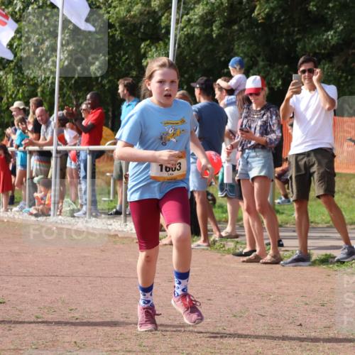 08.09.2024 - Airport Race Strokosch-Dieckow http://msf.ph/oto/7015095 08.09.2024 11:31:39 Ziel 1603, 1675, 1880, 3418, 3441 meine-sportfotos.de