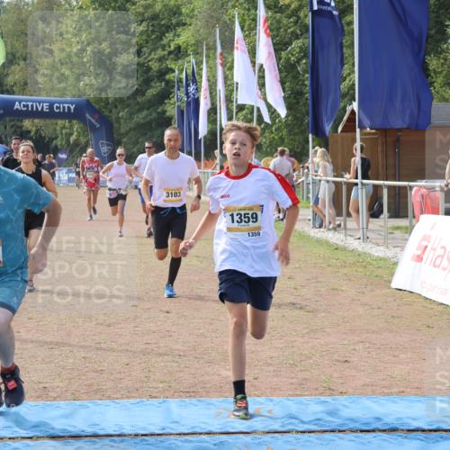 08.09.2024 - Airport Race Strokosch-Dieckow http://msf.ph/oto/7015281 08.09.2024 12:37:56 Ziel 536, 690, 864, 1031, 1033, 1252, 1256, 1275, 1321, 1337, 1356, 1359, 1530, 3103 meine-sportfotos.de