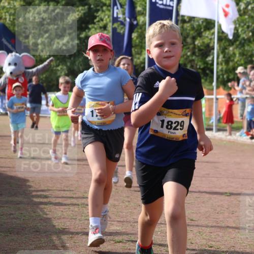 08.09.2024 - Airport Race Strokosch-Dieckow http://msf.ph/oto/7015460 08.09.2024 11:31:57 Ziel 1664, 1666, 1704, 1708, 1733, 1803, 1829, 1856, 3413 meine-sportfotos.de