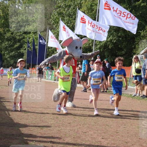 08.09.2024 - Airport Race Strokosch-Dieckow http://msf.ph/oto/7015755 08.09.2024 11:32:03 Ziel 1627, 1643, 1664, 1666, 1733, 1759, 1803, 1856, 3413 meine-sportfotos.de