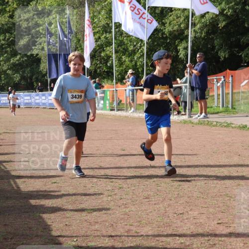 08.09.2024 - Airport Race Strokosch-Dieckow http://msf.ph/oto/7017224 08.09.2024 11:33:18 Ziel 1668, 1723, 3431, 3439 meine-sportfotos.de