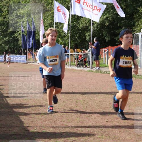 08.09.2024 - Airport Race Strokosch-Dieckow http://msf.ph/oto/7017295 08.09.2024 11:33:19 Ziel 1668, 1723, 3431, 3439 meine-sportfotos.de