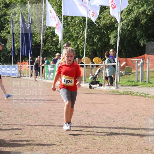 08.09.2024 - Airport Race Strokosch-Dieckow http://msf.ph/oto/7017800 08.09.2024 11:33:32 Ziel 1629, 1640, 1674 meine-sportfotos.de