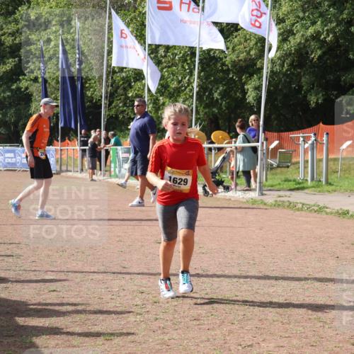08.09.2024 - Airport Race Strokosch-Dieckow http://msf.ph/oto/7017825 08.09.2024 11:33:32 Ziel 1629, 1640, 1674 meine-sportfotos.de