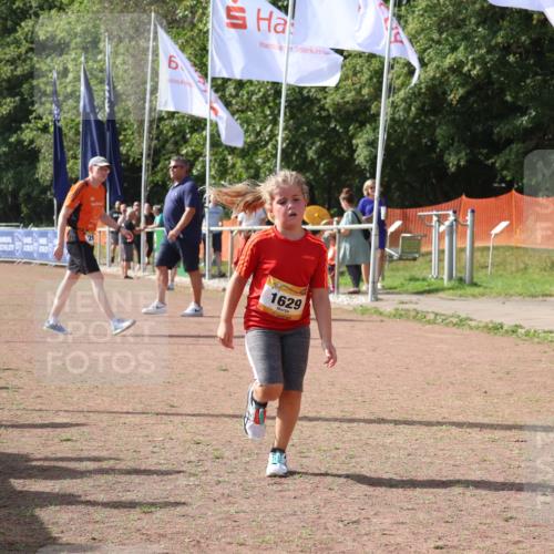 08.09.2024 - Airport Race Strokosch-Dieckow http://msf.ph/oto/7017846 08.09.2024 11:33:32 Ziel 1629, 1640, 1674 meine-sportfotos.de