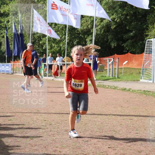 08.09.2024 - Airport Race Strokosch-Dieckow http://msf.ph/oto/7017862 08.09.2024 11:33:33 Ziel 1629, 1640, 1674 meine-sportfotos.de
