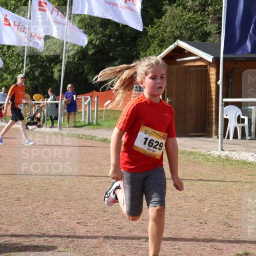 08.09.2024 - Airport Race Strokosch-Dieckow http://msf.ph/oto/7017921 08.09.2024 11:33:33 Ziel 1629, 1640, 1674 meine-sportfotos.de