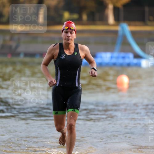 08.09.2024 - Stadtparktriathlon Michael Strokosch http://msf.ph/oto/7020485 08.09.2024 09:05:26 Schwimmen 133, 159 meine-sportfotos.de