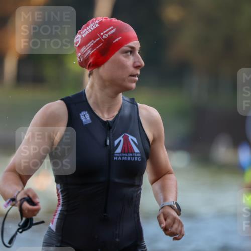 08.09.2024 - Stadtparktriathlon Michael Strokosch http://msf.ph/oto/7020966 08.09.2024 09:06:20 Schwimmen 153, 172 meine-sportfotos.de