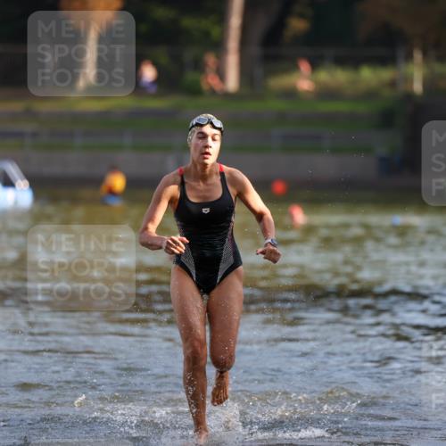 08.09.2024 - Stadtparktriathlon Michael Strokosch http://msf.ph/oto/7026292 08.09.2024 09:52:32 Schwimmen 246 meine-sportfotos.de
