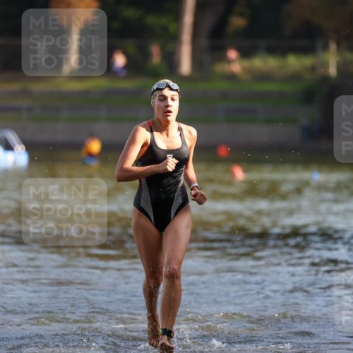 08.09.2024 - Stadtparktriathlon Michael Strokosch http://msf.ph/oto/7026299 08.09.2024 09:52:32 Schwimmen 246 meine-sportfotos.de