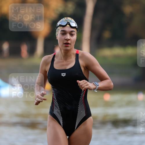 08.09.2024 - Stadtparktriathlon Michael Strokosch http://msf.ph/oto/7026330 08.09.2024 09:52:34 Schwimmen 246 meine-sportfotos.de