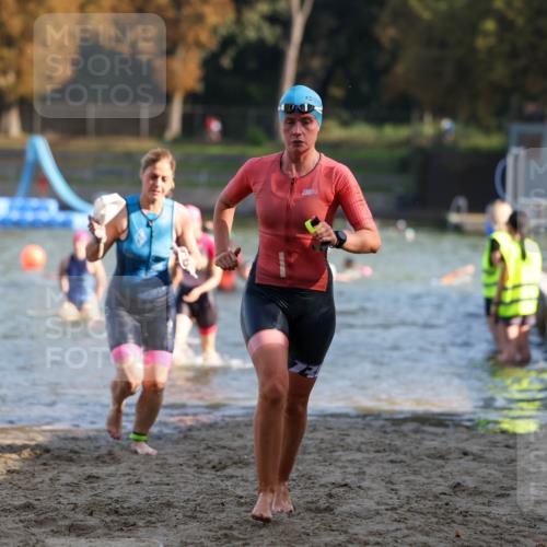 08.09.2024 - Stadtparktriathlon Michael Strokosch http://msf.ph/oto/7027844 08.09.2024 10:14:10 Schwimmen 284, 311, 340, 344, 348, 1937 meine-sportfotos.de